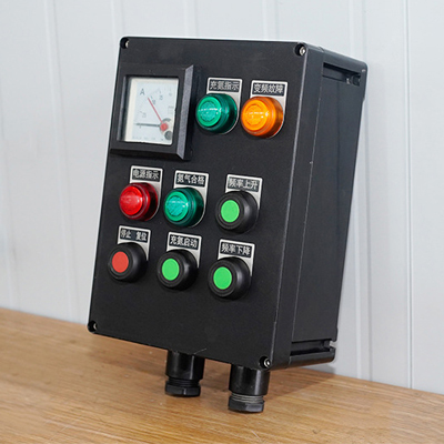 BXK8080防腐防爆控制箱操作柱（IIB、e、IIC）